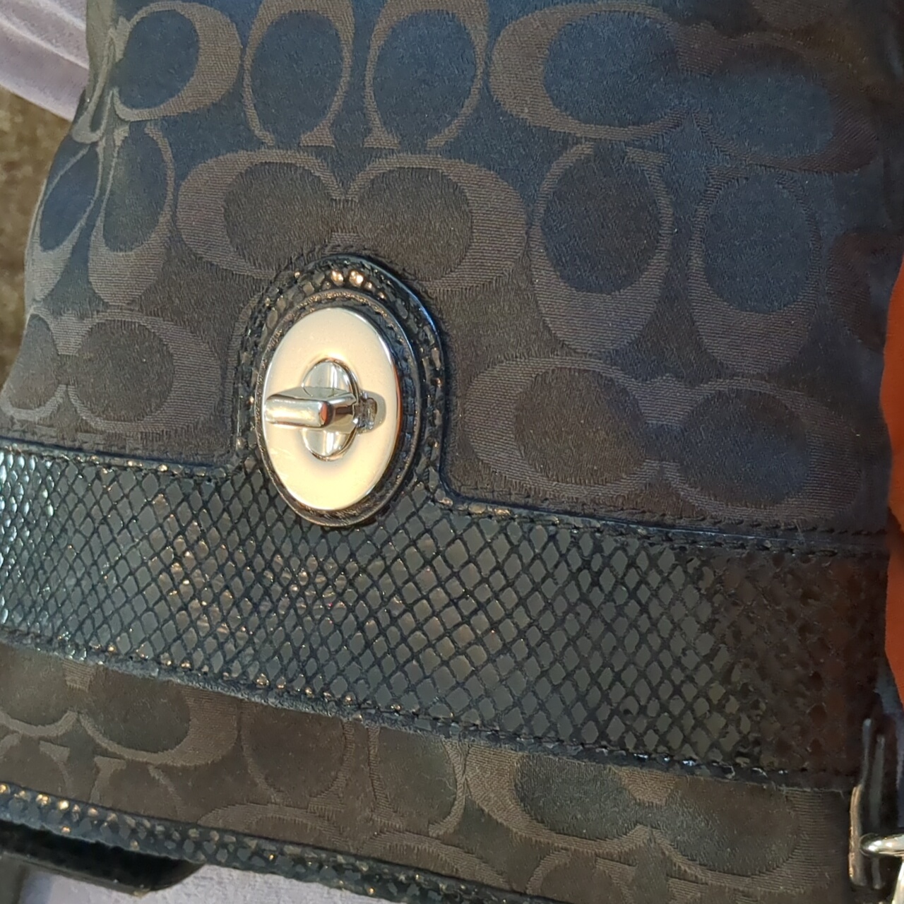 Vintage Authentic Coach Snakeskin Embossed
